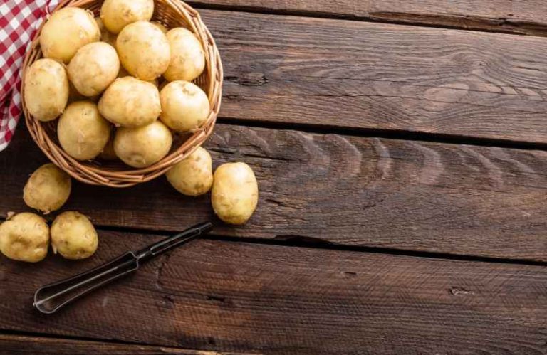 Horloge Alimentée Par Pomme De Terre - Kit Scientifique éducatif, Version Anglaise, Dès 10 Ans