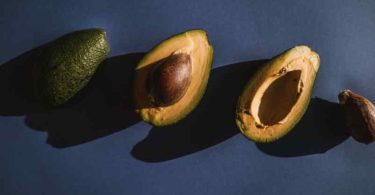 Comment faire pousser un noyau d’avocat facilement ? Artisan Fleuriste