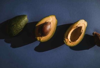 Comment faire pousser un noyau d’avocat facilement ? Artisan Fleuriste