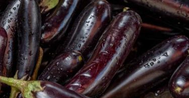 Comment faire pousser des aubergines à partir d’une aubergine coupée ? Artisan Fleuriste