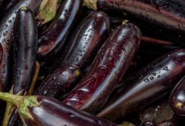 Comment faire pousser des aubergines à partir d’une aubergine coupée ? Artisan Fleuriste